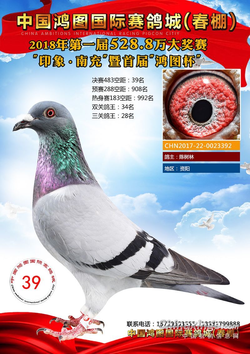 中国鸿图国际赛鸽城(春棚)-获奖鸽1-50名图片展示