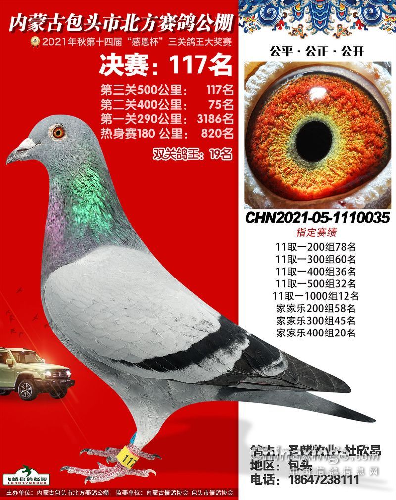 北方公棚获奖优胜鸽欣赏101125名