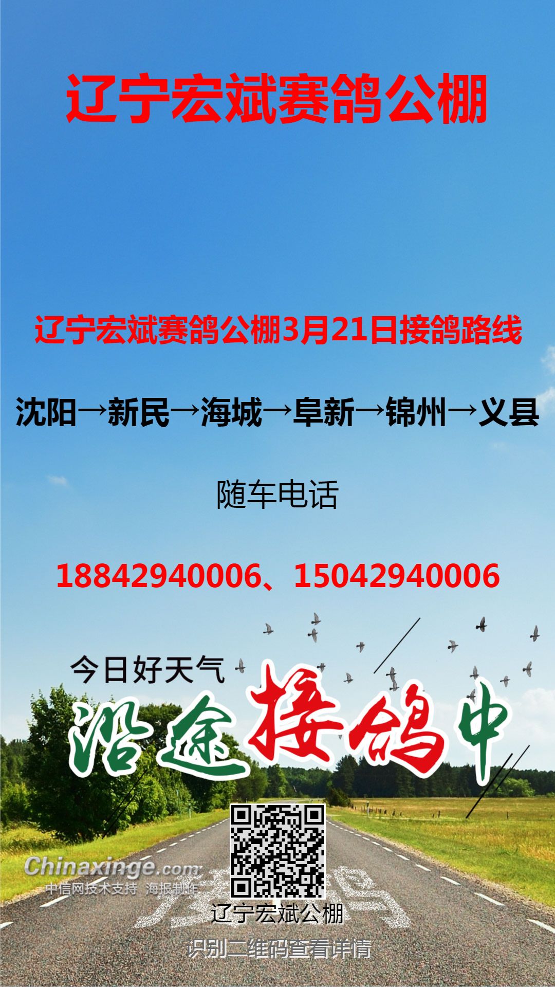 各地赛鸽公棚-gdgp.chinaxinge.com