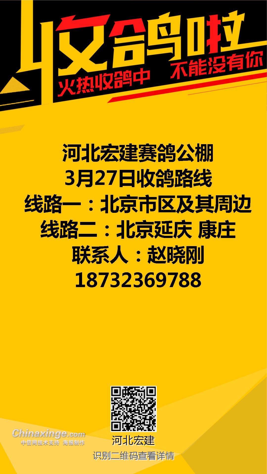 河北宏建赛鸽公棚