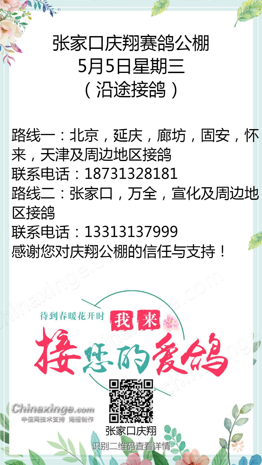 张家口庆翔赛鸽公棚