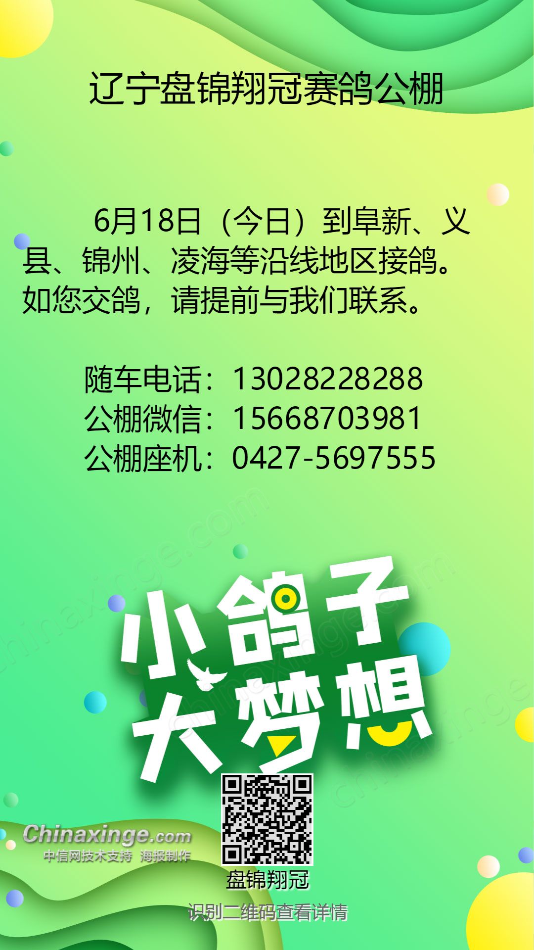 辽宁盘锦翔冠赛鸽公棚