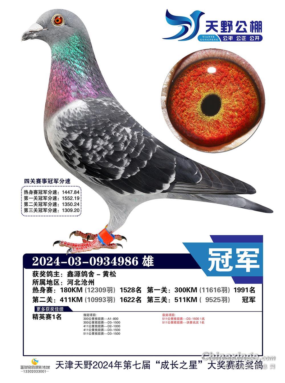 天津市天野赛鸽公棚图片查看-中国信鸽信息网各地公棚