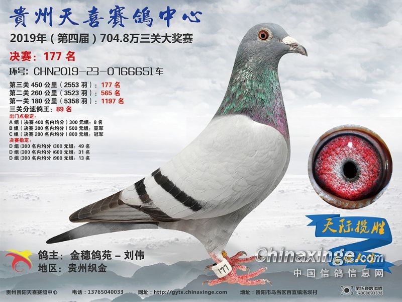 贵州贵阳天喜赛鸽中心 - 中信网各地公棚信息www