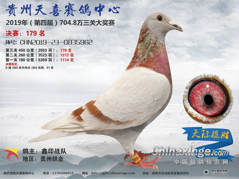 贵州贵阳天喜赛鸽中心 - 中信网各地公棚信息www