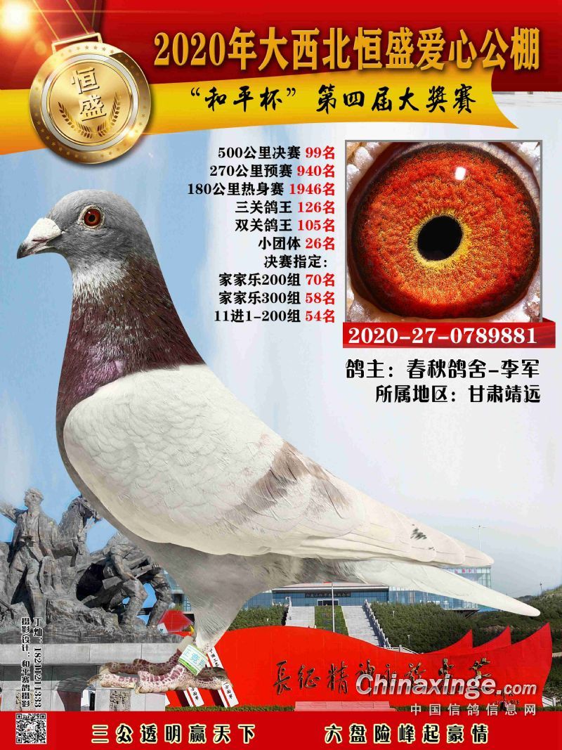 大西北恒盛公棚51100名获奖鸽照片