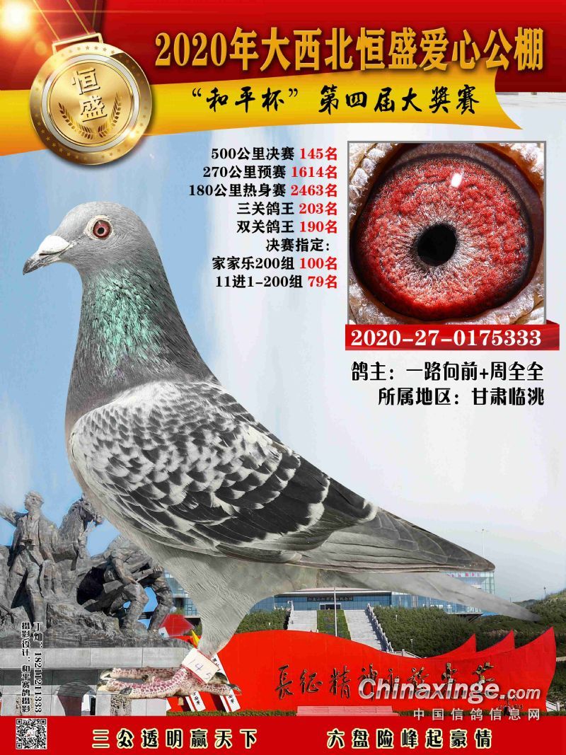 大西北恒盛101-150名获奖鸽照片_公棚动态_大西北恒盛爱心国际赛鸽