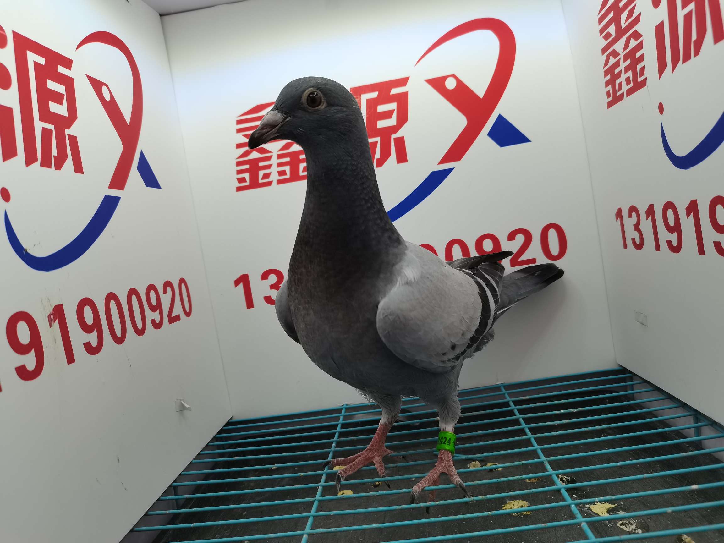 易游娱乐城- YY易游体育官方网站- 易游体育APP3500余名老人中招！“中医养生馆”骗局：鸡蛋泡脚为饵康养床位挖坑最高被骗120万